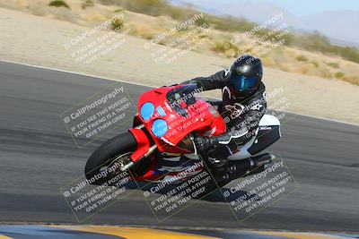 media/Feb-04-2023-SoCal Trackdays (Sat) [[8a776bf2c3]]/Turn 6 Inside (1025am)/